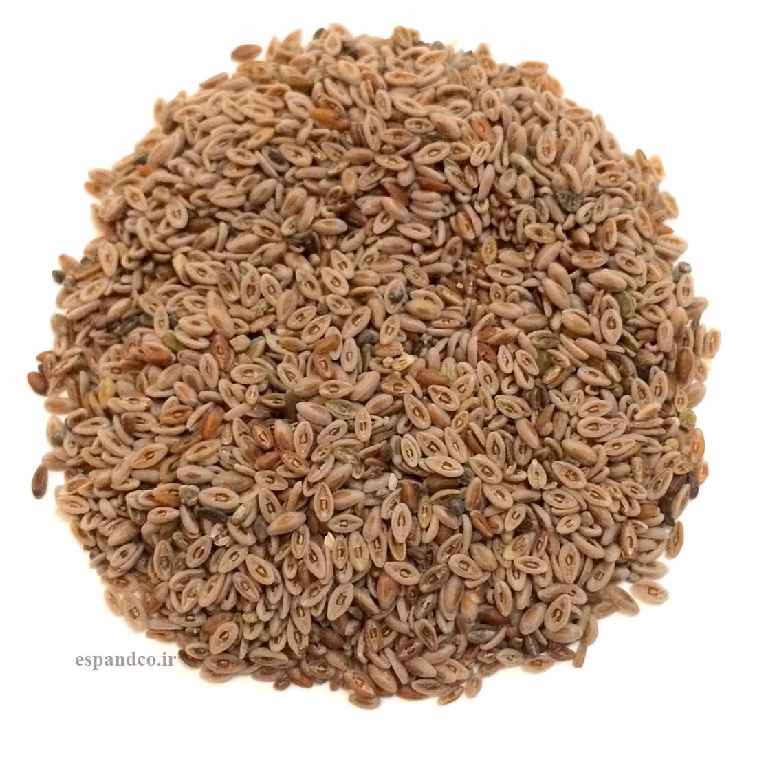 اسفرزه (بسته 50 گرمی) Plantago ovata