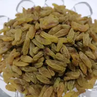 کشمش سبز لوکس 