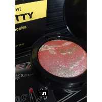 رژگونه تراکوتا سکرت پرتی secret pretty شماره T31
