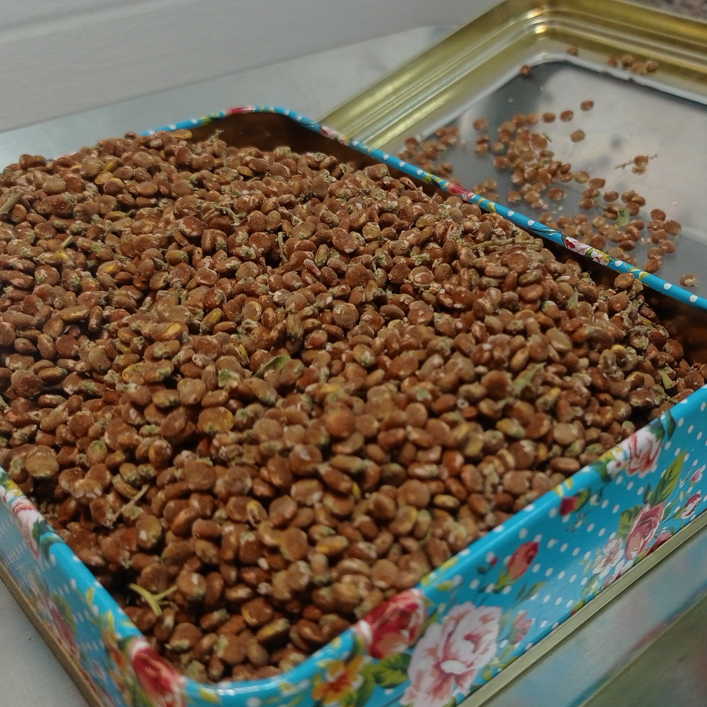 دانه سماق  آسیاب نشده خوش طعم وزن 100 گرمی 