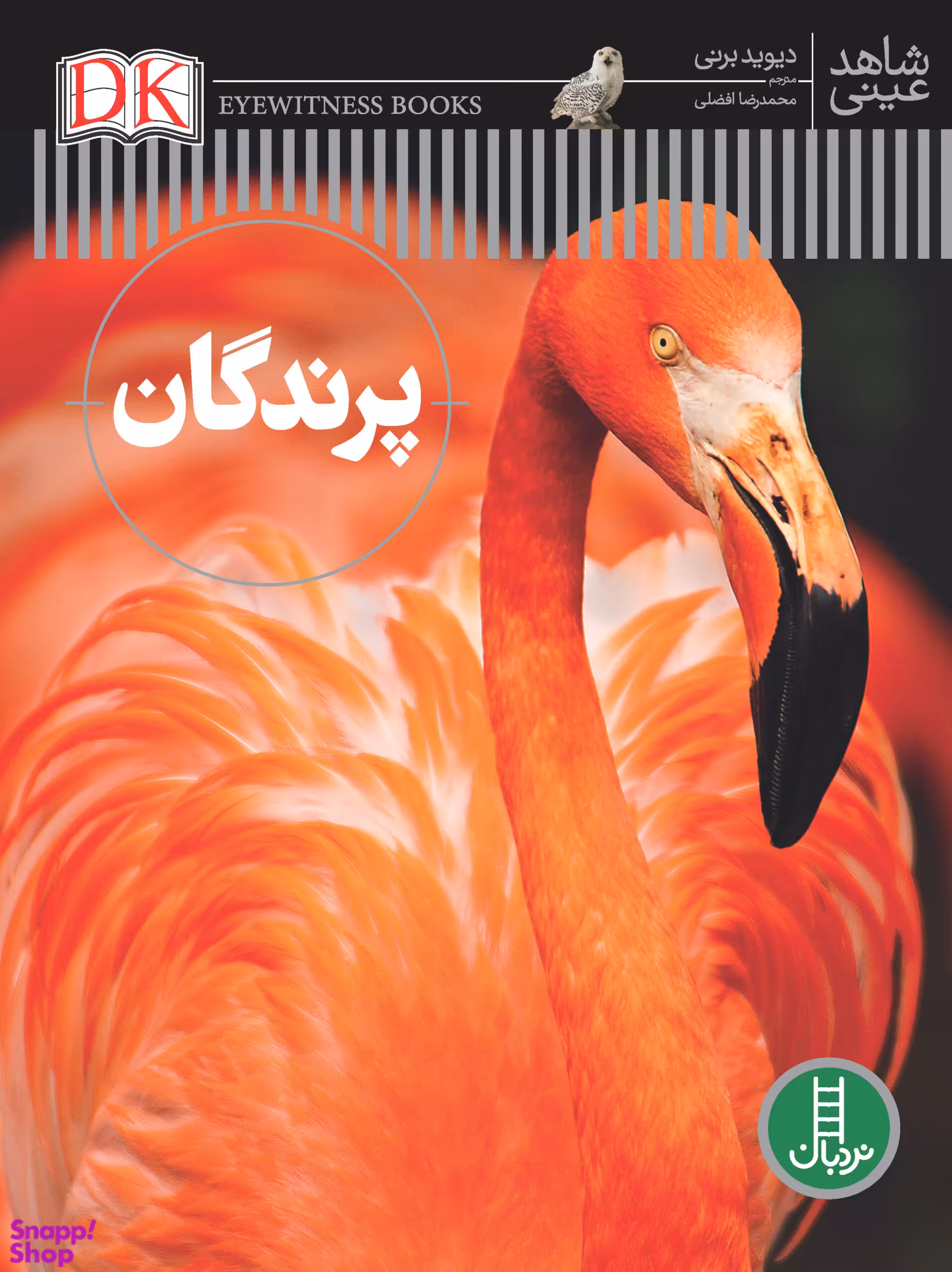 کتاب پرندگان اثر دیوید برنی انتشارات نردبان