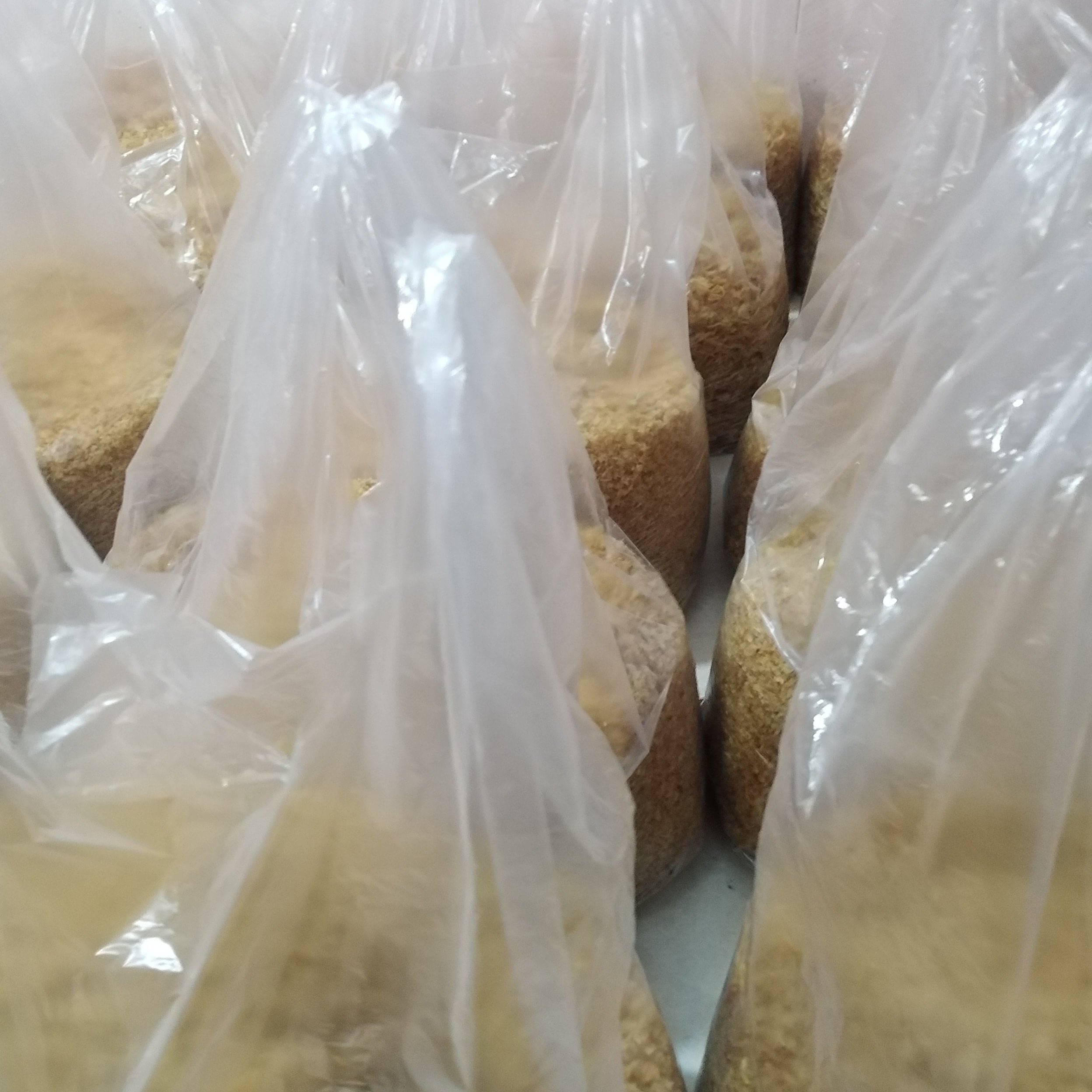 پیاز داغ فله نگینی و خلالی خانگی 