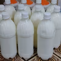 بطری 1 لیتری  دوغ کفیر  خانگی وارگانیک و در دوغها از نمک دریا و عرق نعنا استفاده شده