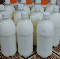 بطری 1 لیتری  دوغ کفیر  خانگی وارگانیک و در دوغها از نمک دریا و عرق نعنا استفاده شده