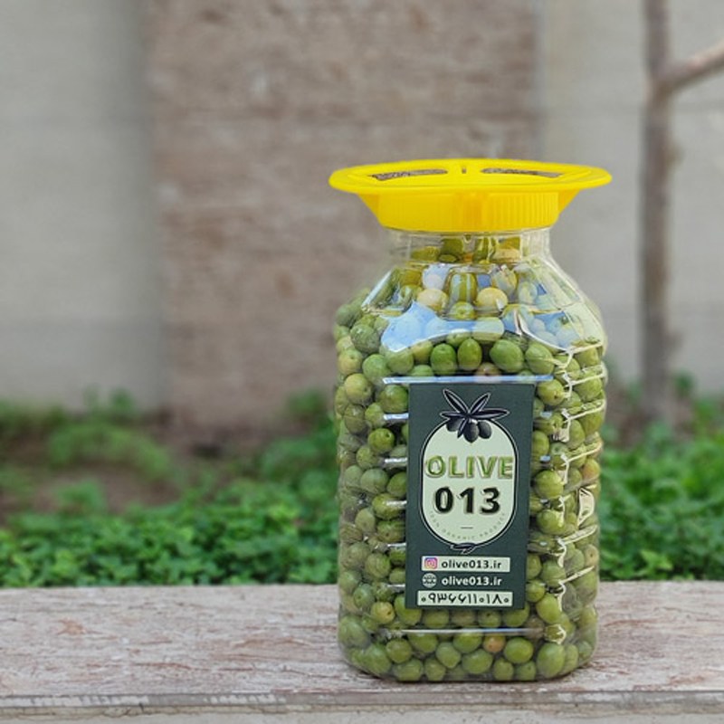 زیتون کنسروی درجه یک رودبار(6کیلویی)