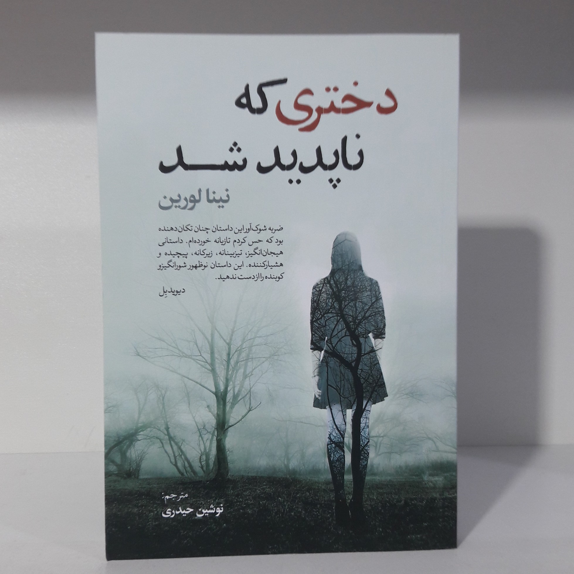 کتاب دختر ی که ناپدشد