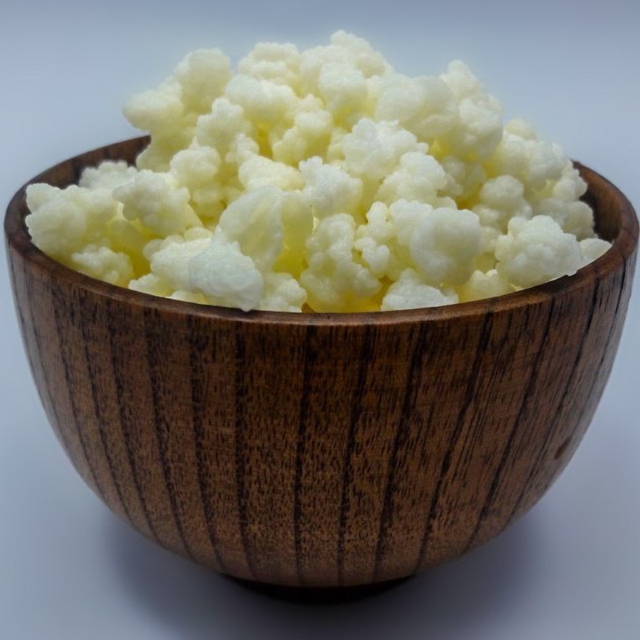 قارچ کفیر قفقازی فعال 30 گرمی