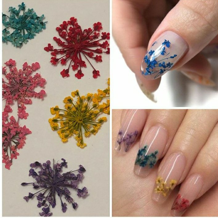 دیزاین گل خشک