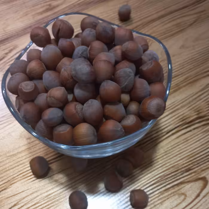 فندوق خام روستای وشنوه قم هرکیلو 250هزارتومان لطفا قبل از خرید موجودی محصول رو بپرسید