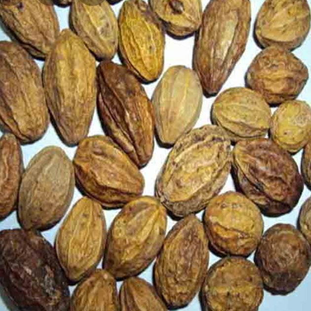 هلیله زرد ممتاز فدک  100گرمی