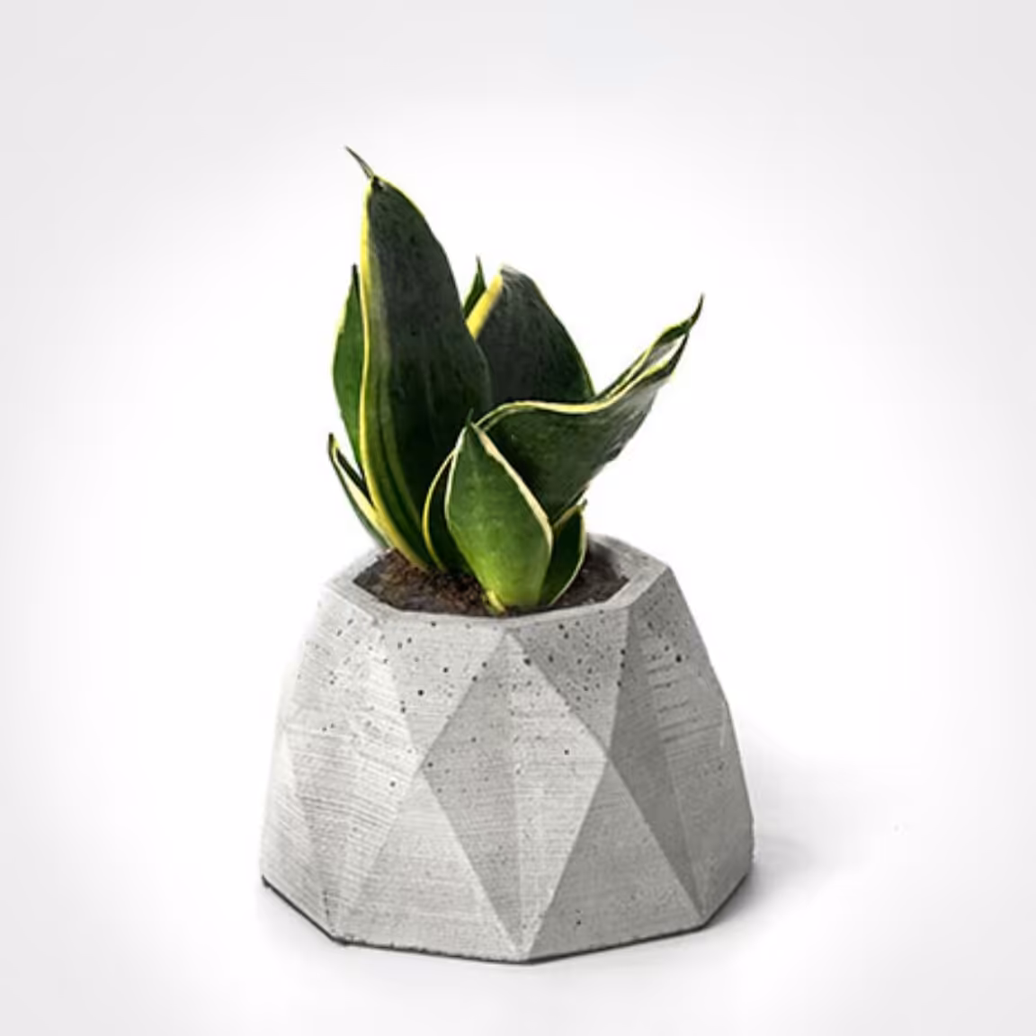 گلدان بتنی مخروطی 8 ضلعی