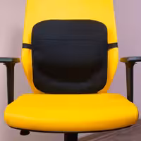 پشتی طبی باراد مدل LS1 گارانتی 36 ماهه