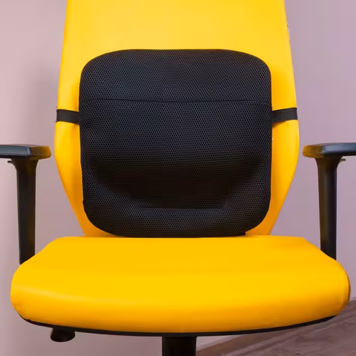 پشتی طبی باراد مدل LS1 گارانتی 36 ماهه