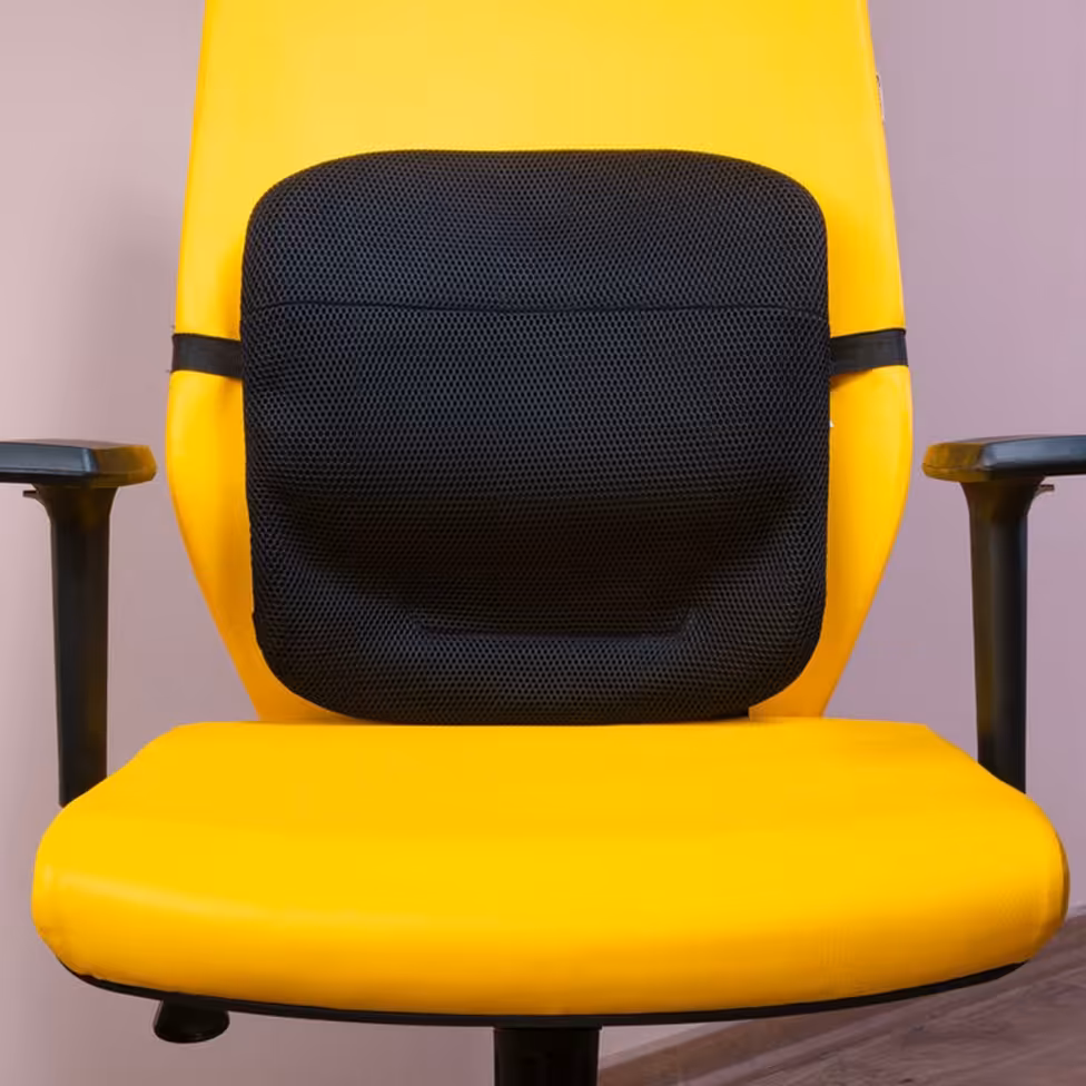 پشتی طبی باراد مدل LS1 گارانتی 36 ماهه