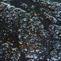 رب مارمالاد تمشک وحشی ترش تیره  درجه یک مزه آفرینان 