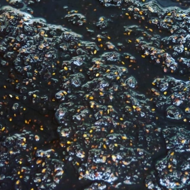 رب مارمالاد تمشک وحشی ترش تیره  درجه یک مزه آفرینان 