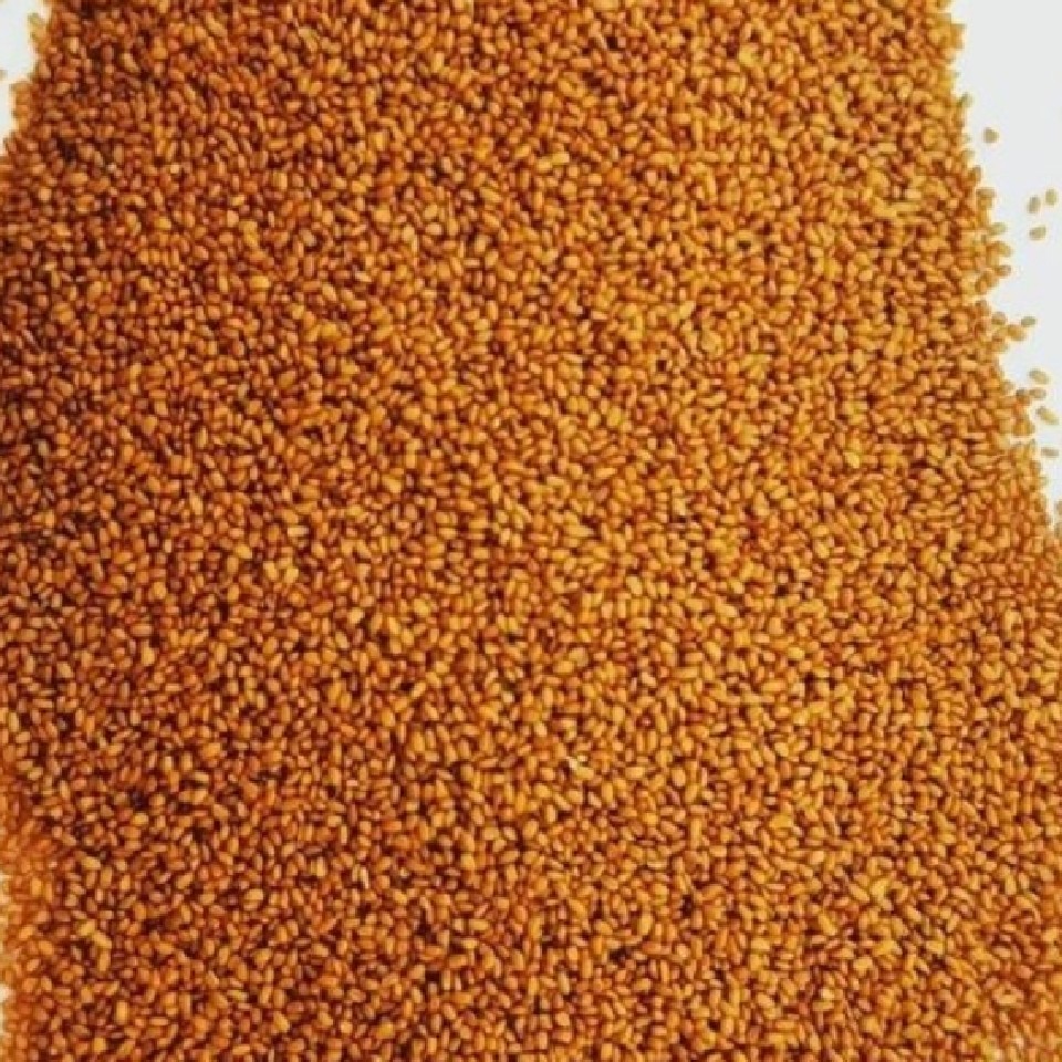  خاکشیر  اعلا فوق سوپر لوکس همدان ارسال رایگان گارانتی مرجوعی بدون قید و شرط