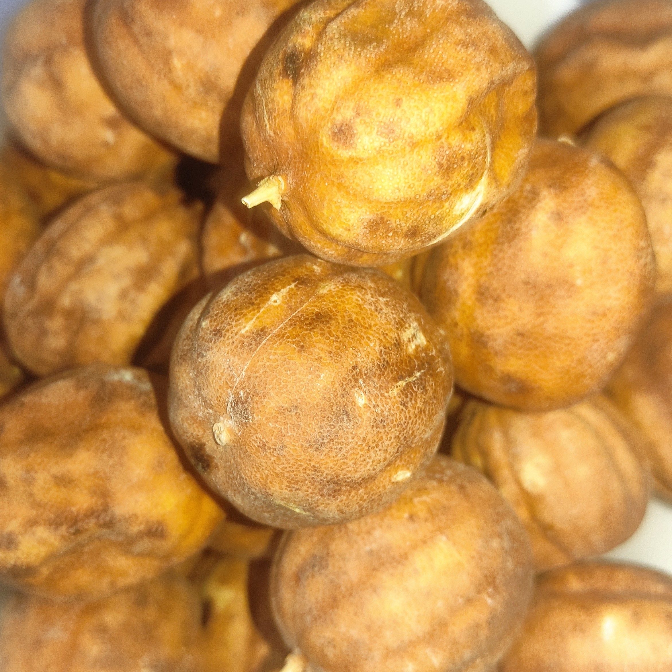 مصرف لیمو خشک به بهبود سلامت استخوان کمک میکند زیرا سرشار از کلسیم و ویتامین cاست