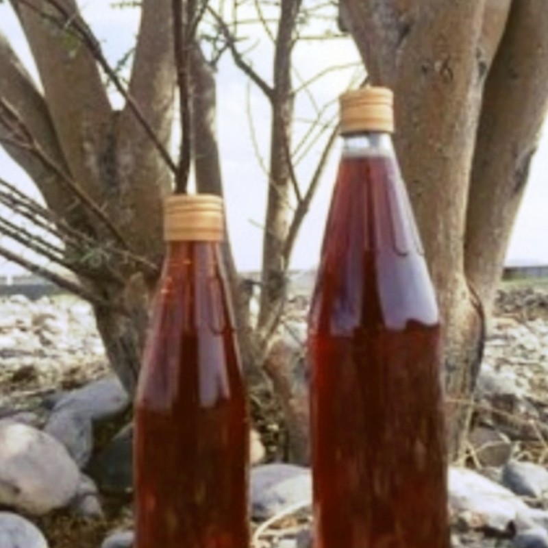 عسل وحشی کنار (زنبور کورک)