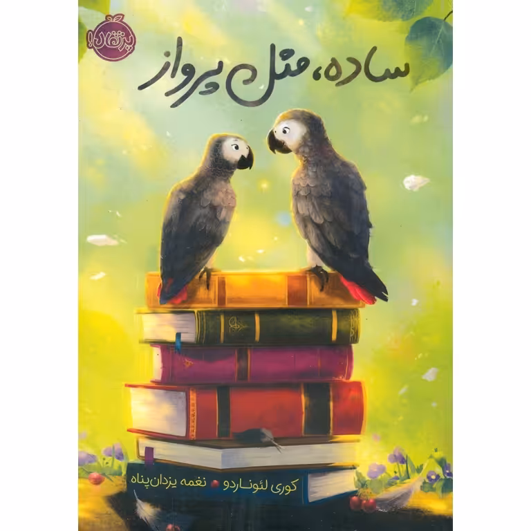 ساده مثل پرواز