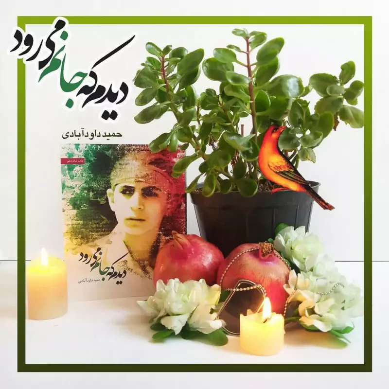 011159-کتاب دیدم که جانم می رود اثر حمید داود آبادی نشر شهیدکاظمی 748