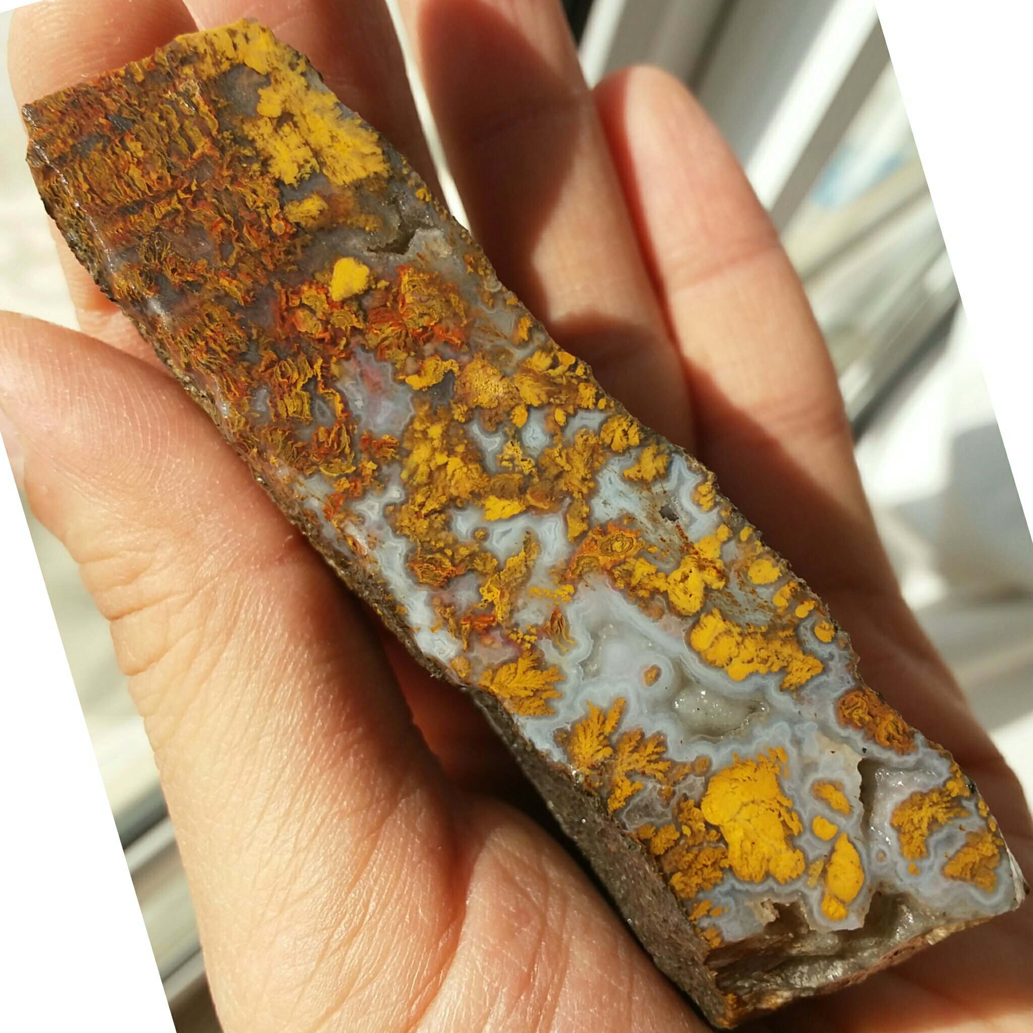 اسلایس سنگ راف عقیق شجر منظره پاییزی خاص و بی نظیر 100 در 100 طبیعی شاهکار خلقت