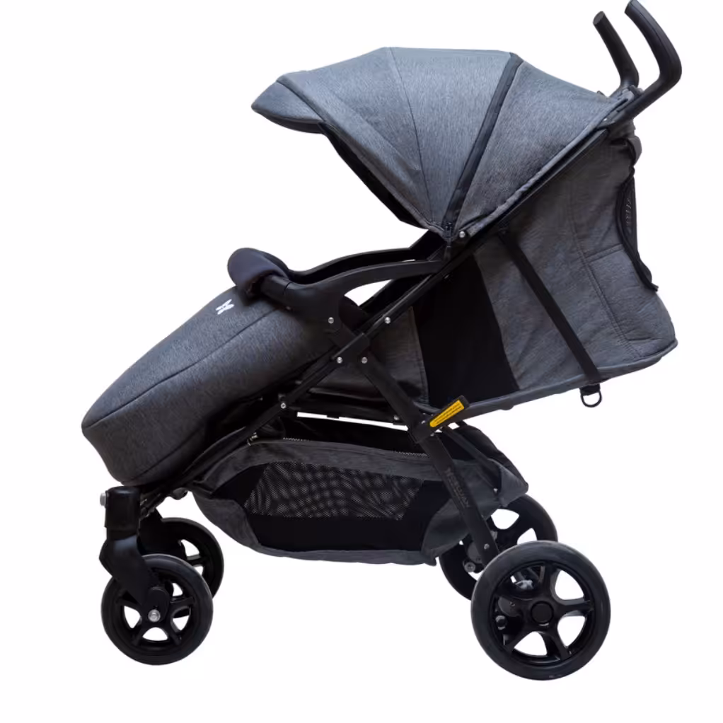 کالسکه مدل ریو دلیجان 