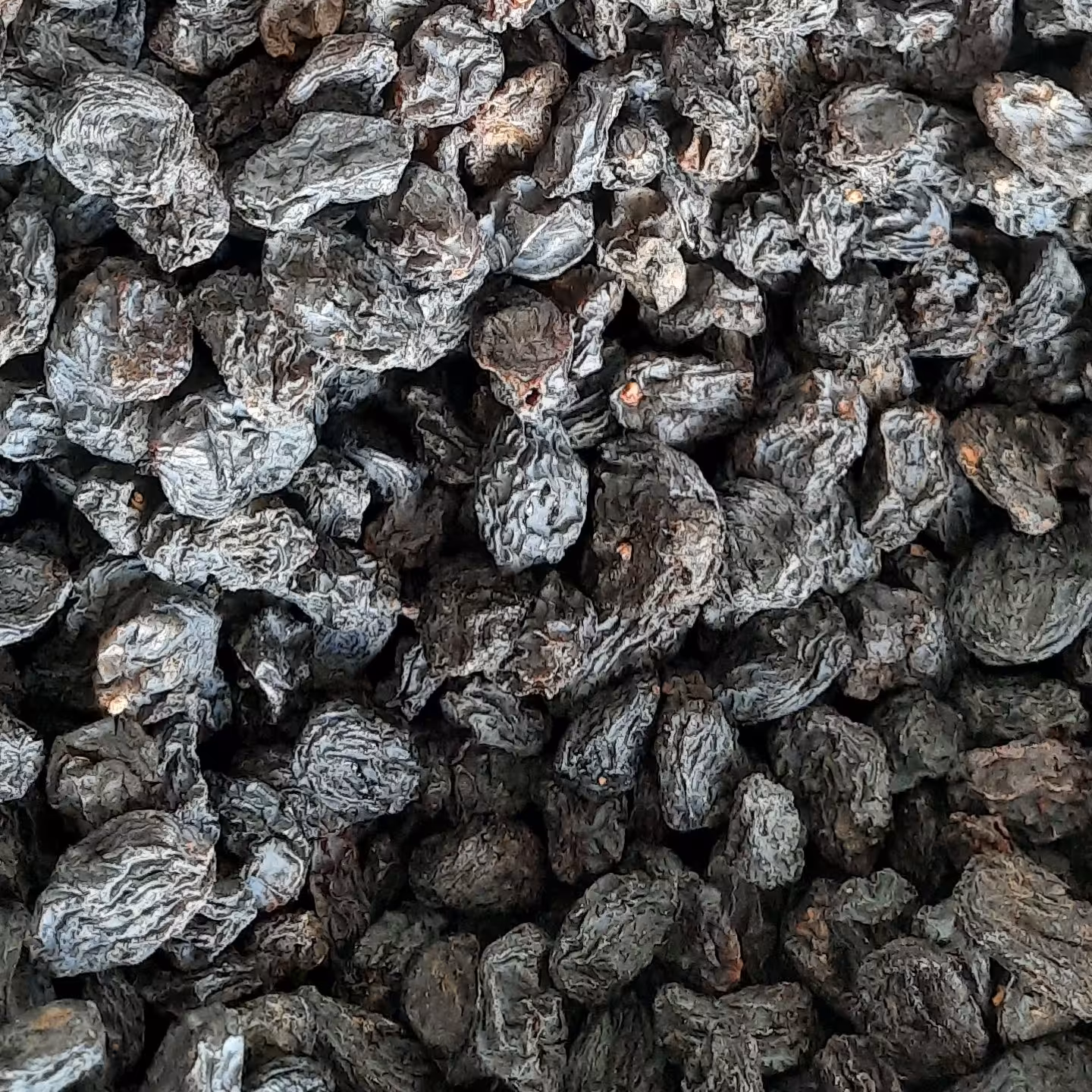 مویز بدون هسته