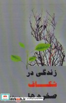 قیمت و خرید کتاب زندگی در شکاف صخره ها | ایده بوک