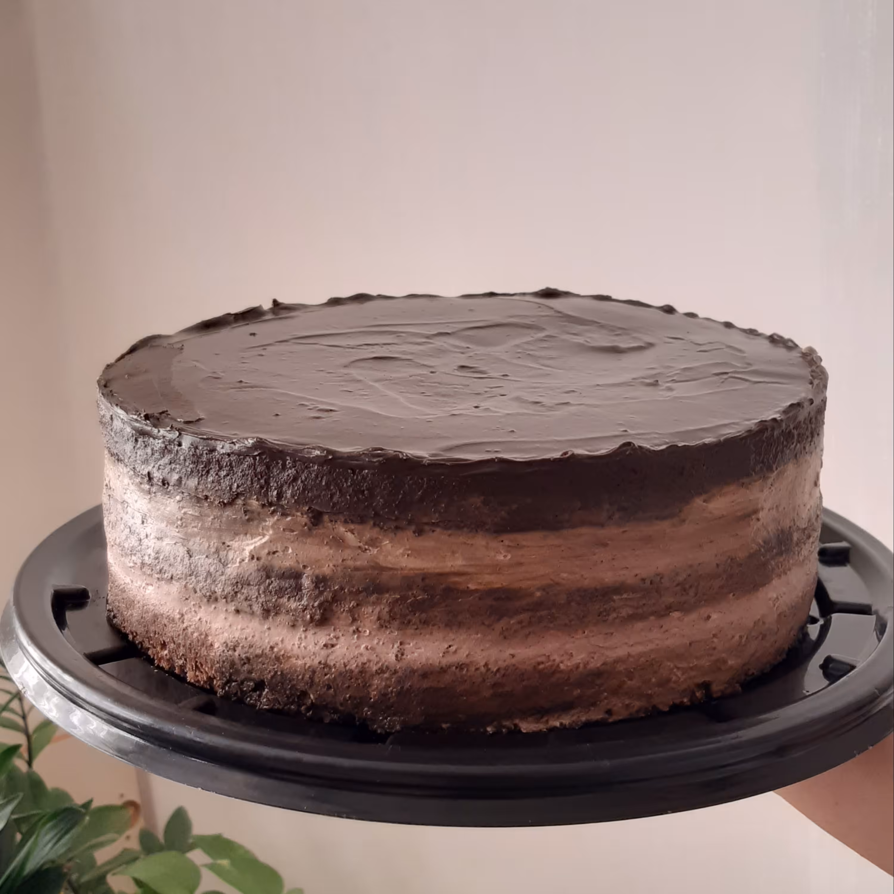 کافی کیک شکلاتی