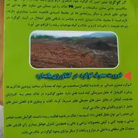 کود کمپوست سلولزی با کیفیت بسیار بالا عمده (پس کرایه)