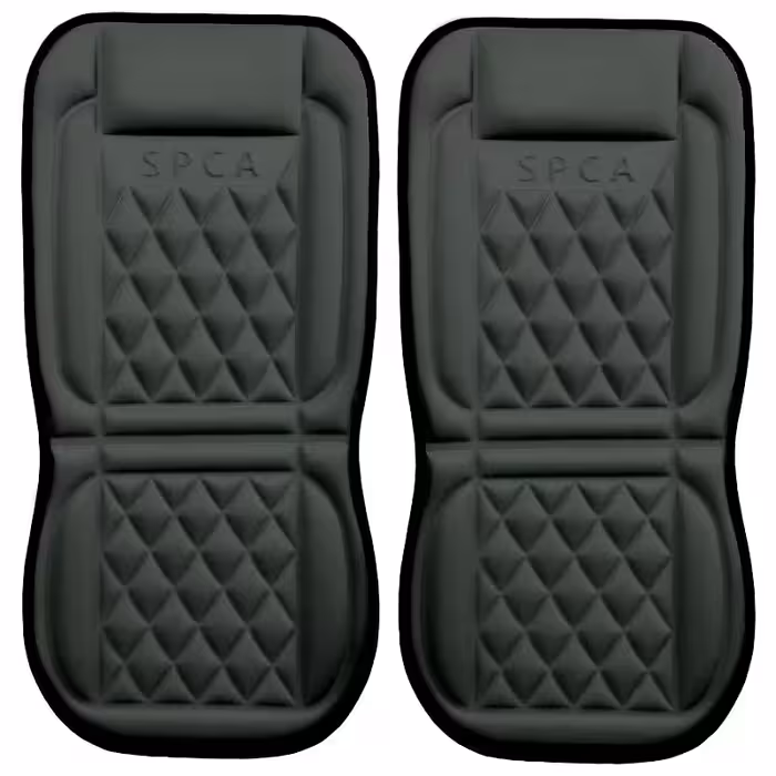 پشتی صندلی SPCA مجموعه دو عددی سبز ماشی