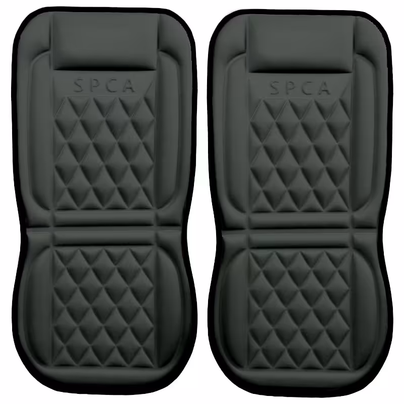 پشتی صندلی SPCA مجموعه دو عددی سبز ماشی