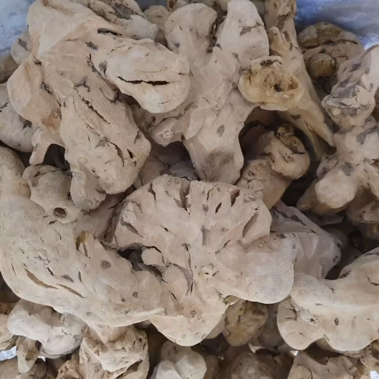 چوب چینی 100گرم 