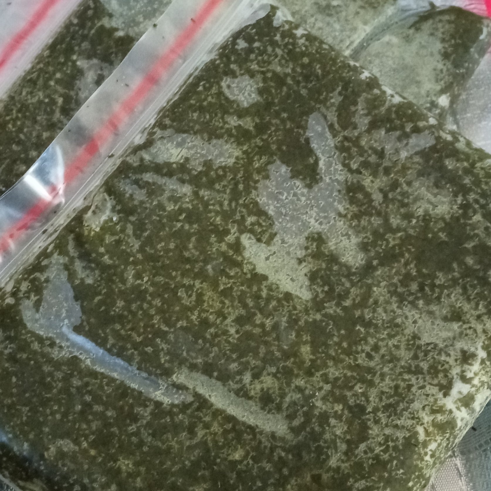 سبزی قرمه سرخ شده بدون ساقه نیم کیلویی(هزینه ارسال به صورت پس کرایه در مقصد)