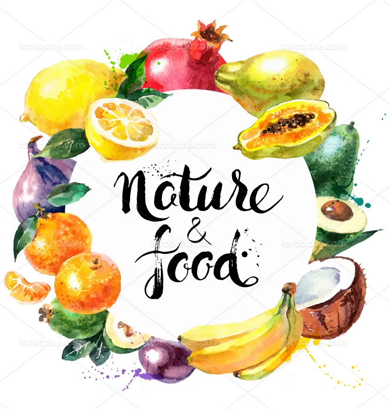 وکتور نقاشی میوه | گرافیک با طعم تربچه