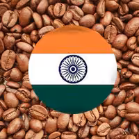 دان قهوه چری هند لایت رست فله 5 کیلویی