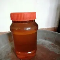 عسل دن (مشکور)