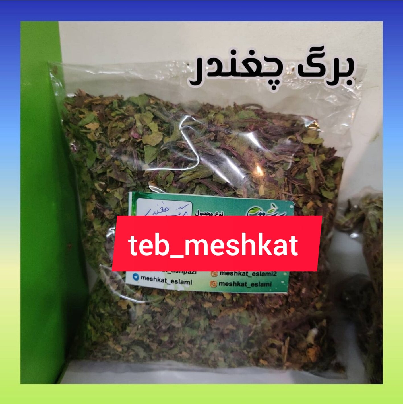 برگ چغندر