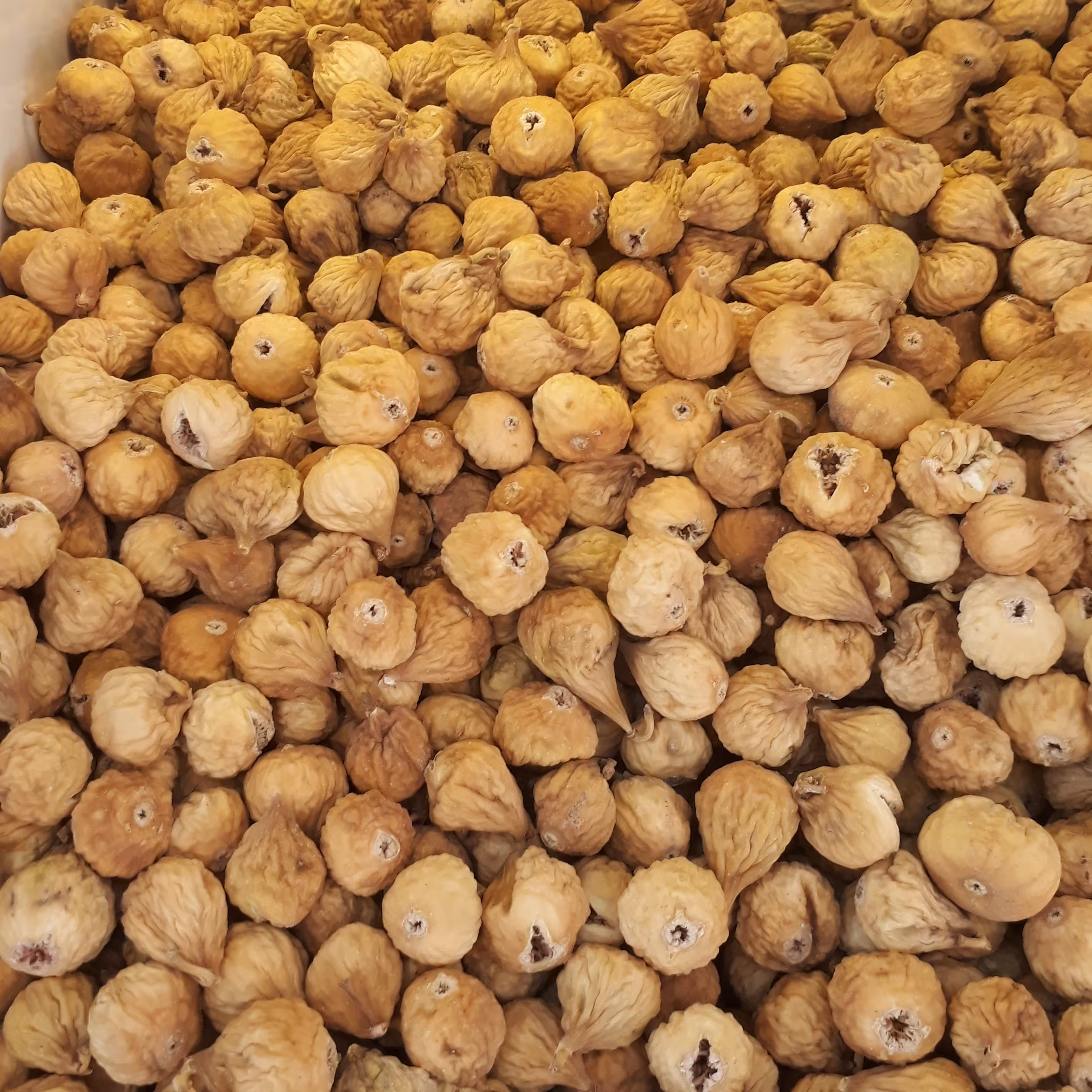 انجیر خشک(1000)