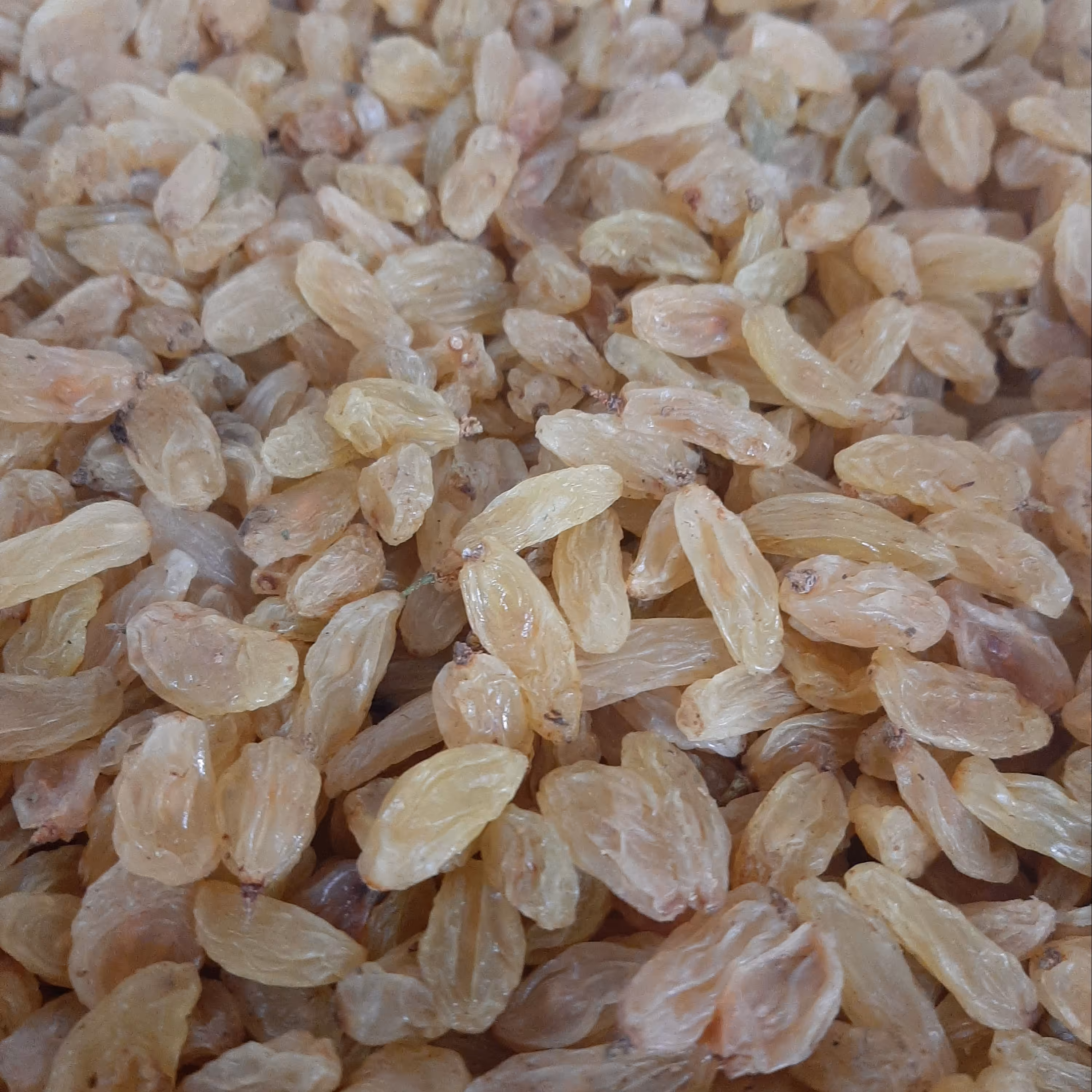 کشمش قلمی 900 گرمی ممتاز