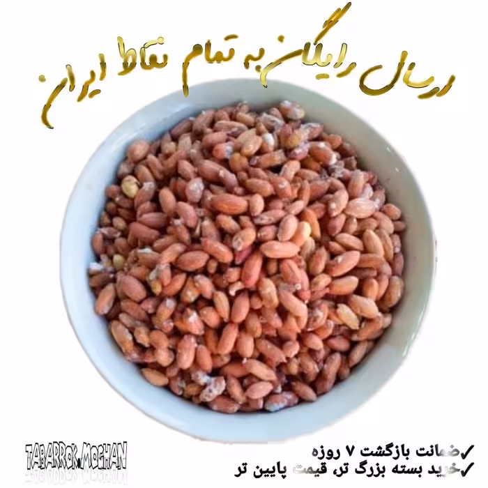 بادام زمینی ریز ایرانی تبرک مغان سایز سه (سایز ریز ) و کم نمک امسال 1500 گرمی مغز بوداده برشته ( اقتصادی )