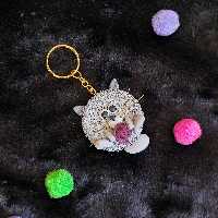 جاسوئیچی طرح گربه شبطون کد 02