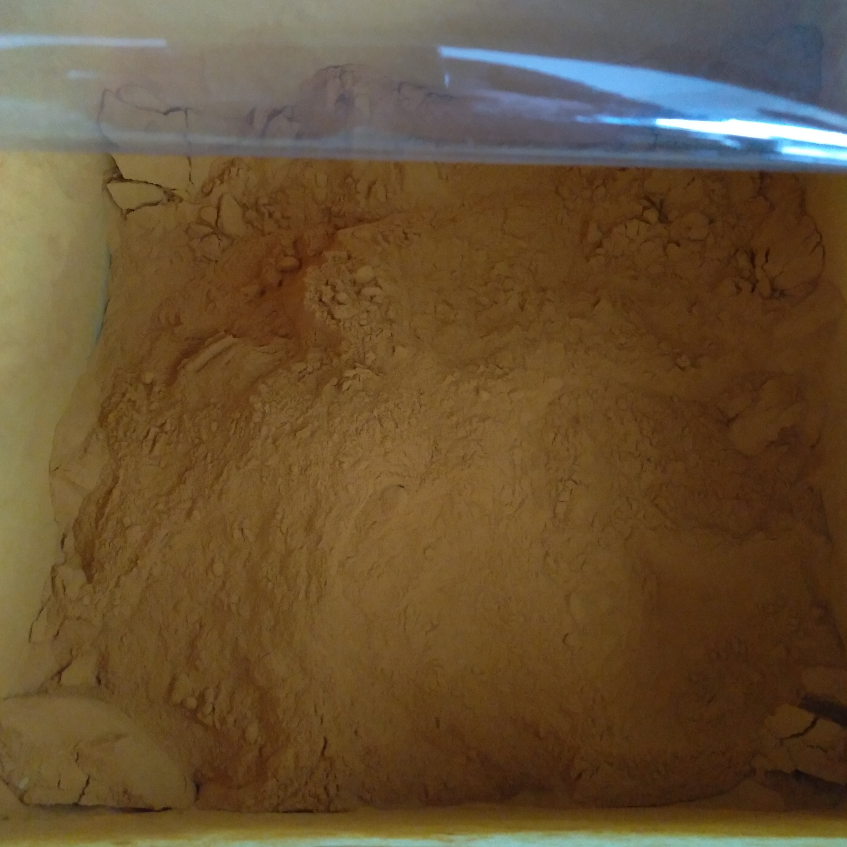 زردچوبه اعلا