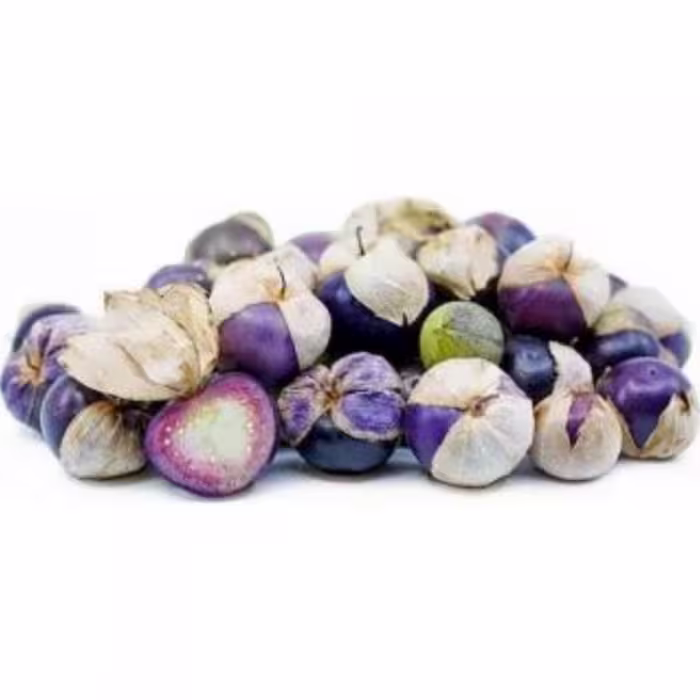 بذر فیسالیس(عروسک پشت پرده)بنفش بسته 10 عددی