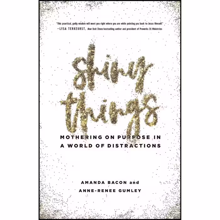 کتاب زبان اصلی Shiny Things اثر Amanda Bacon and AnneRenee Gumley