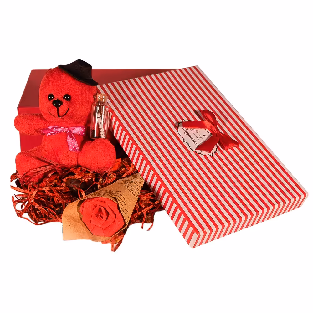 ست هدیه عروسک خرس مدل 2002