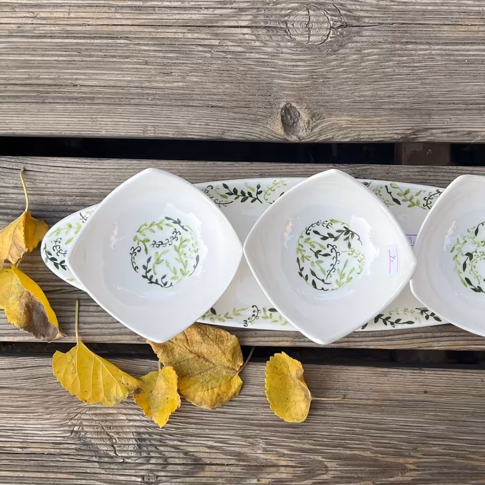 اردو خوری شامل یه دیس سوشی خوری و سه کاسه تک نفره