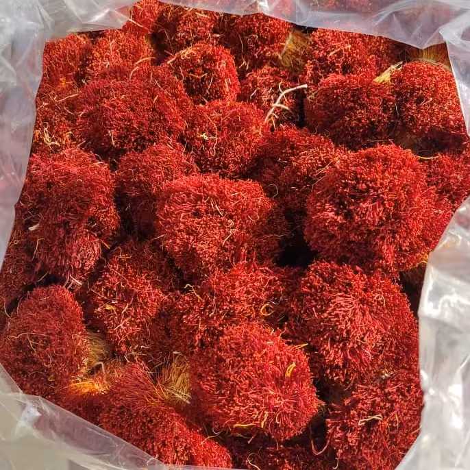 زعفران دخترپیچ(دسته)