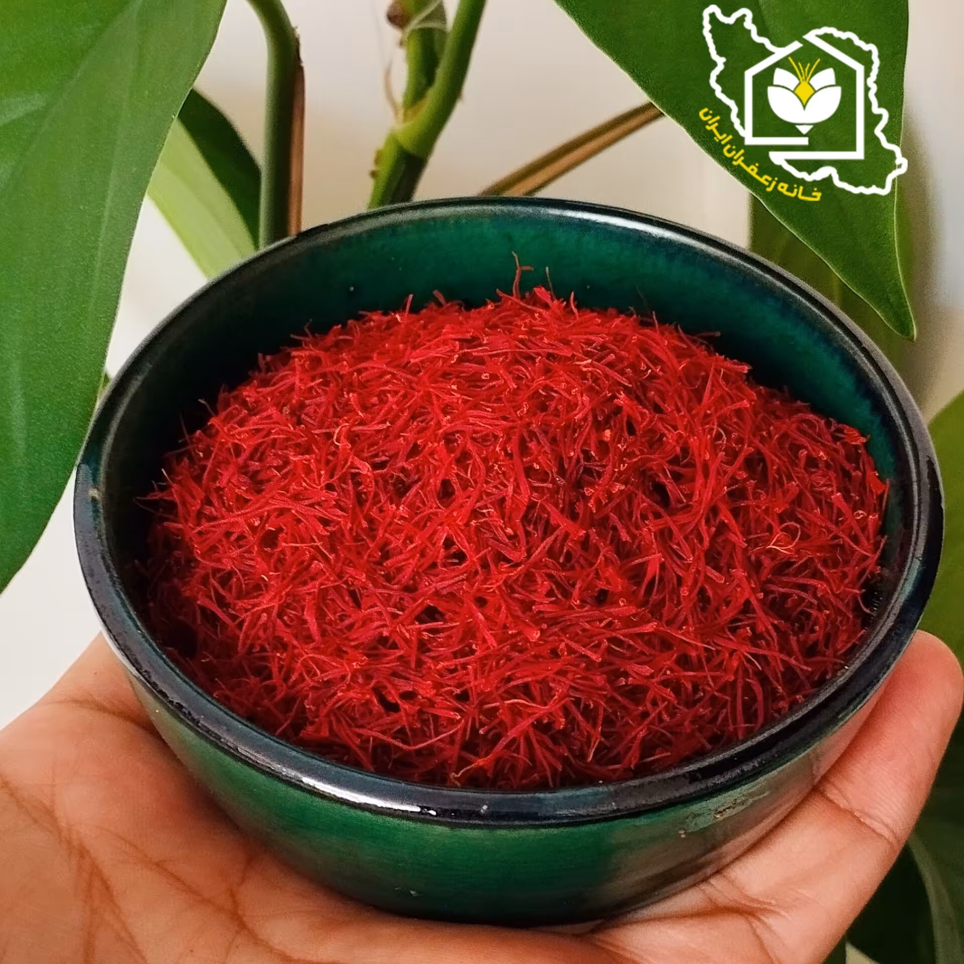 زعفران سرگل ممتاز قائنات (نیم مثقالی)